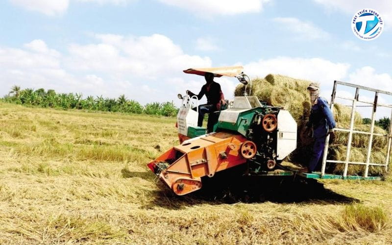 Rơm rạ và phụ phẩm từ hoạt động trồng lúa